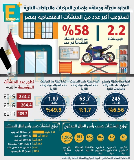 العدد الأكبر من المنشئات الاقتصادية في مصر