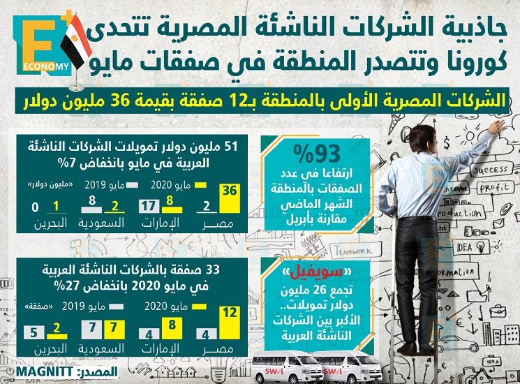 الشركات المصرية الأولى بالمنطقة بـ 12 صفقة